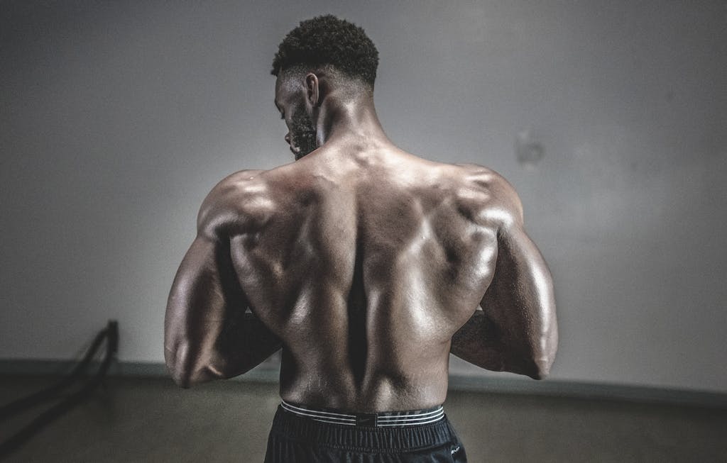 Pack Sculpt & Gain
